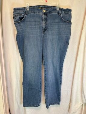 Lee Plus Relaxed Fit Straight Leg High Rise Jeans Women’s 22W Petite Slimming